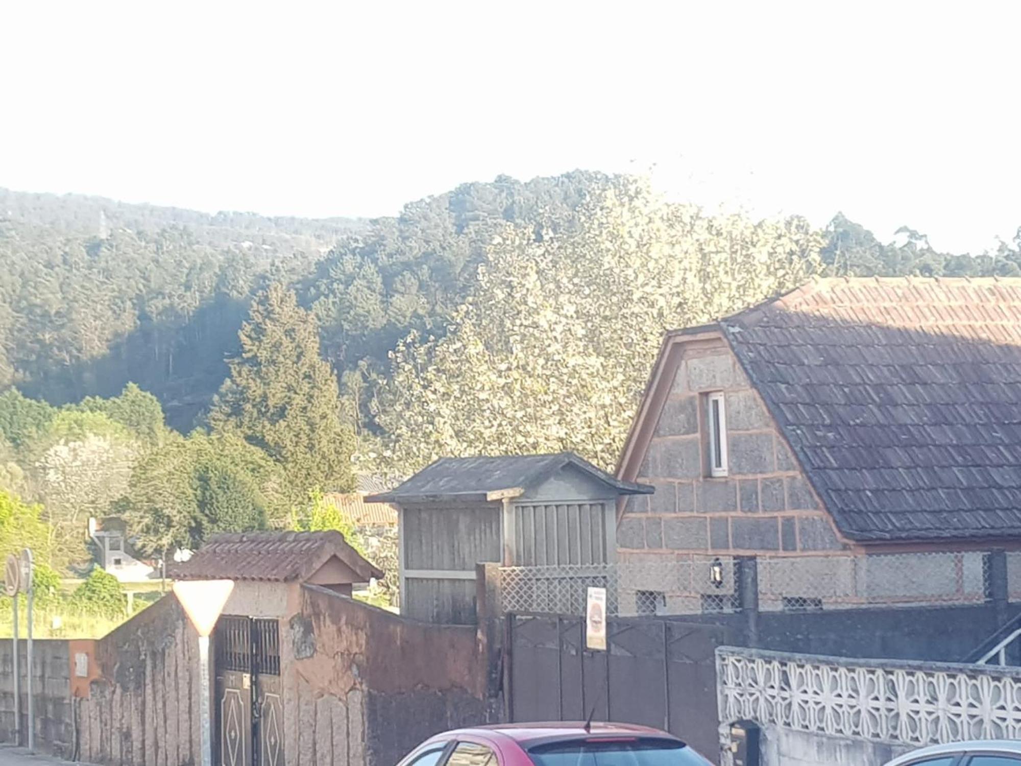 Сasa de vacaciones Casa La Porrinesa