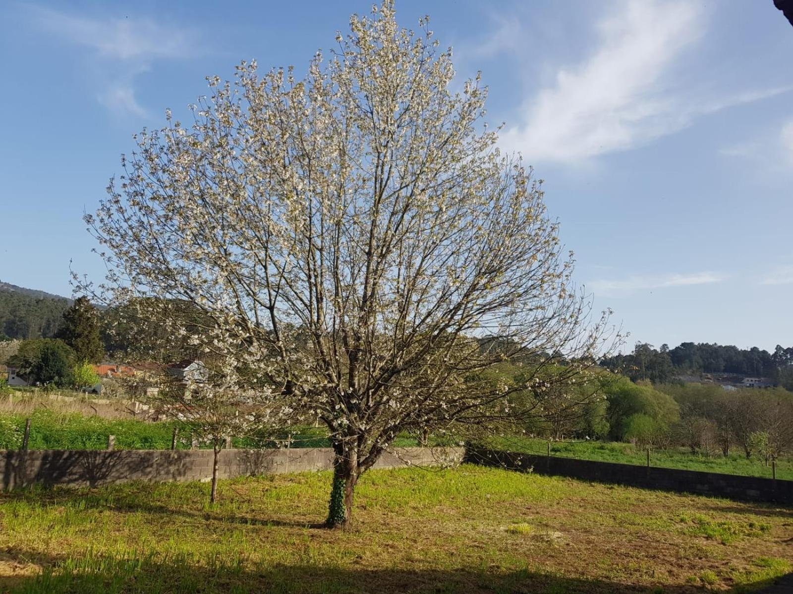 Casa La Porrinesa Holiday home