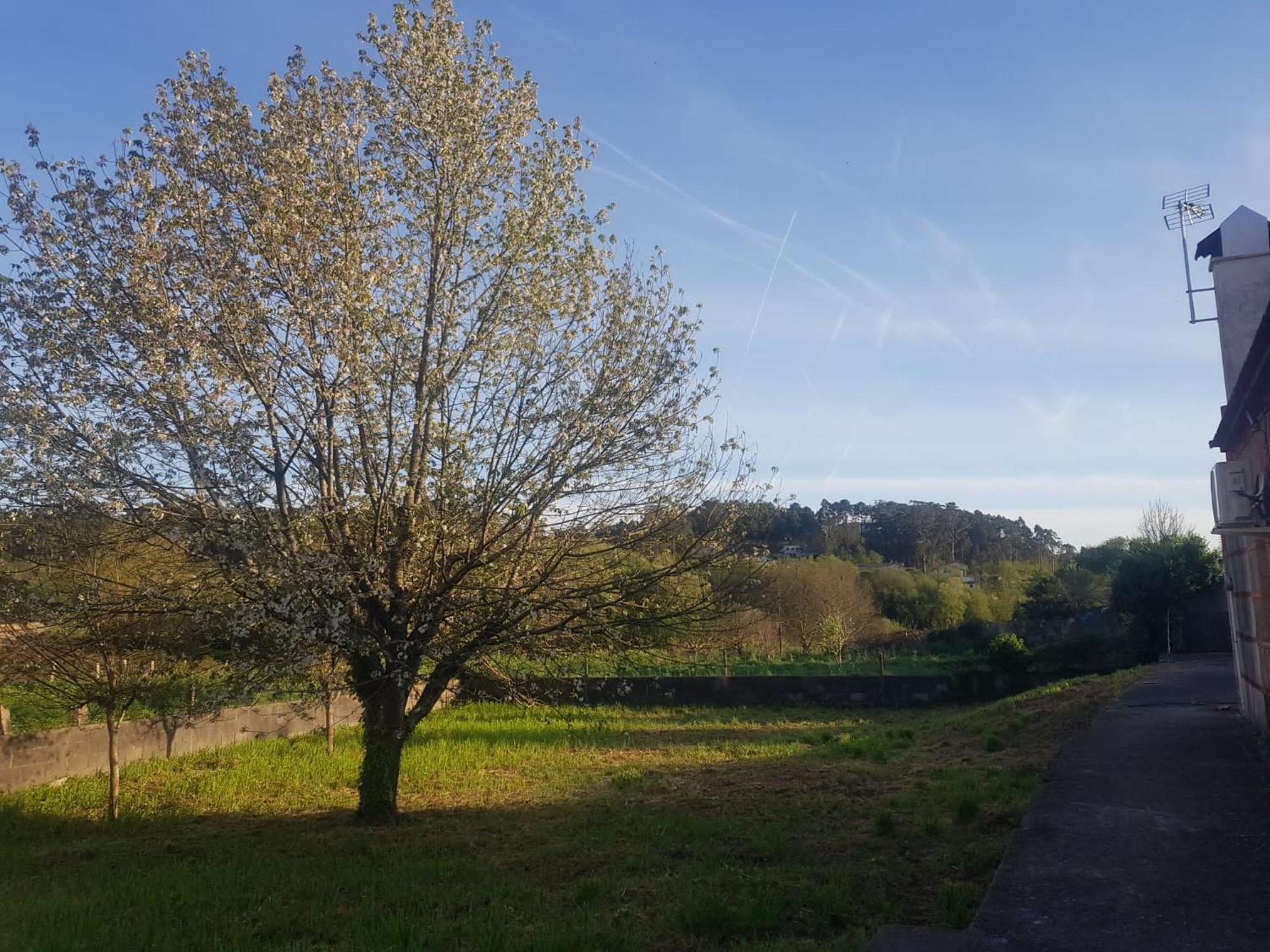 Casa La Porrinesa Holiday home